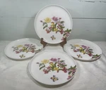 (4) Mikasa Butterfly Garden 9 1/4" Salad Plates Colorful Floral With Bird New. Fixed Price $35.74.