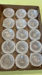 Wholesale Bulk Lot 5 Pack Of Small Selenite Crystal Round Charging Bowl Dishes. Fixed Price $70.95.