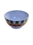 Melamine Pineapple 6 Large Soup,cereal,salad Serving Bowl-summer-new. Fixed Price $18.88.