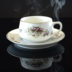Paul Muller Selb Bavaria Germany MUE39 Cups And Saucers + Bonus! - Set Of 2. Fixed Price $18.99.