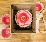 Certified International 3D Ombr Pink Poppy Dessert Plates And Bowls, Set Of 16. Fixed Price $120.00.