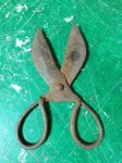 Early Wrought Iron . Primitive Hearth Scissors, Shears. Fixed Price $99.00.