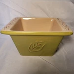 Tastefully Simple Host Collection Square Dip Bowl Dish With Green Leaf In Vgc!. Fixed Price $10.99.