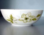 Lenox Watercolor Citrus Soup Cereal Bowl Green Floral 6.5" Usa Simply Fine New. Fixed Price $21.90.