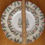 Arte Italica Natale Dinner Plate Christmas Wintertime Chop 12". Fixed Price $52.00.