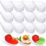 300 Pack 4INCH Tear Drop Mini Appetizer Plates Plastic Tasting Spoons,.... Fixed Price $35.76.