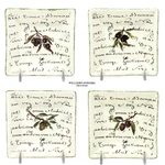 Williams-sonoma Olive Script 4" Square Dip Bowl Set 4PC Portugal Green Trim. Fixed Price $19.95.
