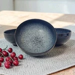 Denby Langley Halo 6.25" Noodle Cereal Bowl Black Speckled Gray & Blue Set Of 3. Fixed Price $43.99.