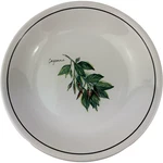 Williams Sonoma WS024 Cayenne Individual Pasta Bowl 9.5" Vtg Herbs Portugal. Fixed Price $18.89.