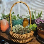 Vtg Wicker Basket With Handle Round Honey Willow Primitive Very Sturdy Handmade. Fixed Price $23.00.