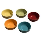 Now Designs Set Of 5 Canyon 2OZ Pinch Stoneware Mini Dip/sauce. Fixed Price $15.11.