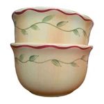 Pfaltzgraff Napoli Set Of 2 Yellow Cereal Soup Bowls 6"X3 Stoneware Botanical. Fixed Price $9.71.