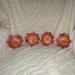 Cynthia Rowley 4 Piece Set Melamine Pink Floral Desert/snack Bowls. Fixed Price $15.99.