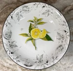 Williams Sonoma Meyer Lemon Usa 13 Pasta Fruit Centerpiece Serving Bowl. New.. Fixed Price $89.99.