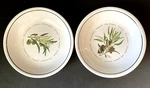 Williams Sonoma Olea Europaea Olives Collectible 9 1/2" Pasta Bowls Set Of. Fixed Price $22.00.
