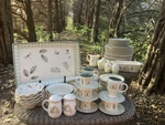 Pfaltzgraff Naturewood 61-PIECE Dish Set Plates Bowls Mugs Platters Mix Lot. Fixed Price $219.99.