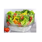 Prodyne SB10 Flip Lid Salad On Ice Bowl. Fixed Price $39.30.