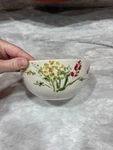 Paula Deen Garden Rooster Floral Ceramic Bowl 5.5" Dishwasher Microwave Safe. Fixed Price $15.00.