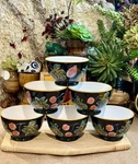 6 Black Cherries Fruit Bowls Cic Certified International Urban Boho Farm Rare. Fixed Price $37.00.