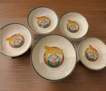 Pasta Bowls Set 11 Large & 4 Serving 8.5 Delizioso! Red Green. Fixed Price $45.00.