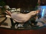 B&g Bing And Grondahl Denmark Porcelain Seagull With Fish Figurine Figure #1808. Fixed Price $75.00.