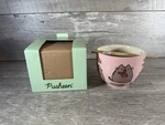 Enesco Pusheen By Our Name Is Mud Ramen Bowl And Chopsticks Set. Fixed Price $14.87.