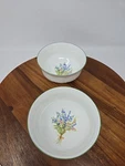 (2) Botanical Bouquet Mikasa Cereal Bowls Mint. Fixed Price $13.50.