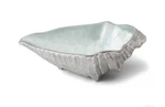 Julia Knight 13.5 By The Sea Conch Shell Bowl Hydrangea. Fixed Price $150.00.