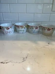 222 Fifth Aubrey 12OZ Dessert Bowl Set 4PC Spring Bloom Renew Love Floral. Fixed Price $34.99.