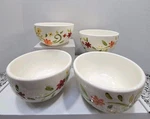 Pier 1 "grace" Set Of Four Handpainted Floral Soup/cereal Earthenware Bowls. Fixed Price $19.99.