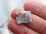 Dendritic Agate, High Quality Cabochon, 100% Natural Stone, Rectangle Shape. Fixed Price $12.00.