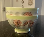 (2) Anthropologie Amelie Latte Rice Bowls Hand-painted Flowers Butterfly Read. Fixed Price $32.95.