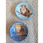 Empty Bowls Artisan Pottery Set 2 Hand Painted Ceramic Blue Nature. Fixed Price $34.00.