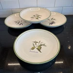 Williams Sonoma Set Of 4 Olive Grove Pasta Bowls 9.25" Portugal Read Description. Fixed Price $39.97.
