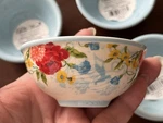 New Pioneer Sweet Rose Ceramic Condiment Dipping Bowls Set Of 4. Fixed Price $21.99.