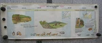 Wall Picture Geschichtsfries Old Stone Ice 139X50 Vintage Map 1965. Fixed Price $57.78.