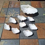 Giant Clam Shell Vintage Bowl Set (9). Fixed Price $47.50.