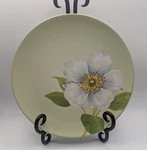Noritake Colorwave Apple Salad Plate 1/4IN Dogwood Floral Stoneware 8094 Read. Fixed Price $16.14.