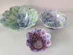 Nicole Miller Cactus Bloom Succulent Nesting Bowls Set Of 3 Melamine. Fixed Price $28.95.