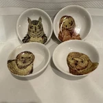 Creative Co-op Ceramic Bowl Set Of 4 Microwave Dishwasher Oven Safe. Fixed Price $13.00.