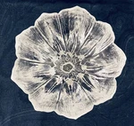 Kosta Boda Crystal Bowl Swedish Art Glass Vintage Mats Jonasson Anemone Pattern. Fixed Price $24.99.