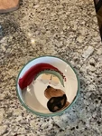 Vietri St. Nick Dog Bowl Ceramic Italy. Fixed Price $55.00.