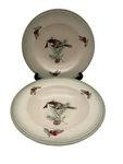 Pfaltzgraff Winterwood Soup / Pasta Bowl Pair Bird Pinecone 9" Usa Portfolio. Fixed Price $30.00.