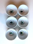 Set Of 6 White Ceramic Herb Spice Bowls, Cinnamon Chives Oregano Thyme Mint Dill. Fixed Price $19.99.