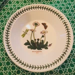 Portmeirion Botanic Garden Daisy 8 1/2" Rimmed Soup Bowl -- Nwt. Fixed Price $23.99.