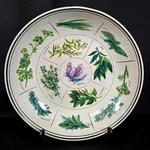 Williams-sonoma Herb Collection Pasta Bowl 12.5" Ceramic Serving Dish WS024. Fixed Price $64.60.
