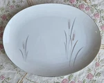 14.5" Porcelain Platter Tray Max Schonfeld Platinum Wheat Fine China Of Japan. Fixed Price $17.09.
