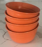 Rachael Ray Double Ridge Orange Stoneware Bowls Set 4 Soup Cereal 6. Fixed Price $29.99.