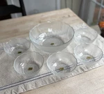 Rare Nwt Arcoroc Fleur 9" Salad W/ Five 4-7/8 SET/6 Discontinued. Fixed Price $60.00.