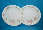 Arcopal Rosalie Set Of 2 Scalloped Edge Plates 7.5" Salad Dessert White Floral. Fixed Price $11.06.